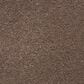 Masland Roadster Carpet in Elegant, , large