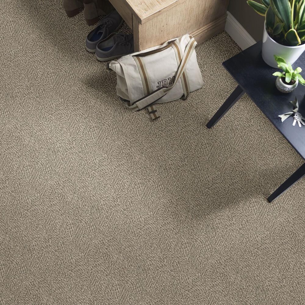 Anderson Tuftex Fur-Ever Carpet in Danville, , large