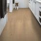 Shaw Vinyl Tile Prodigy HDR Plus Hygge 7" x 48" Luxury Vinyl Plank, , large