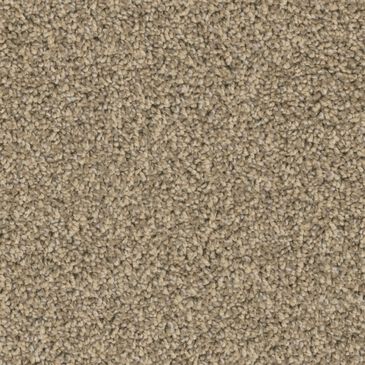 Phenix Crystal Cove Carpet in Nature Scene, , large