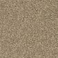 Phenix Crystal Cove Carpet in Nature Scene, , large