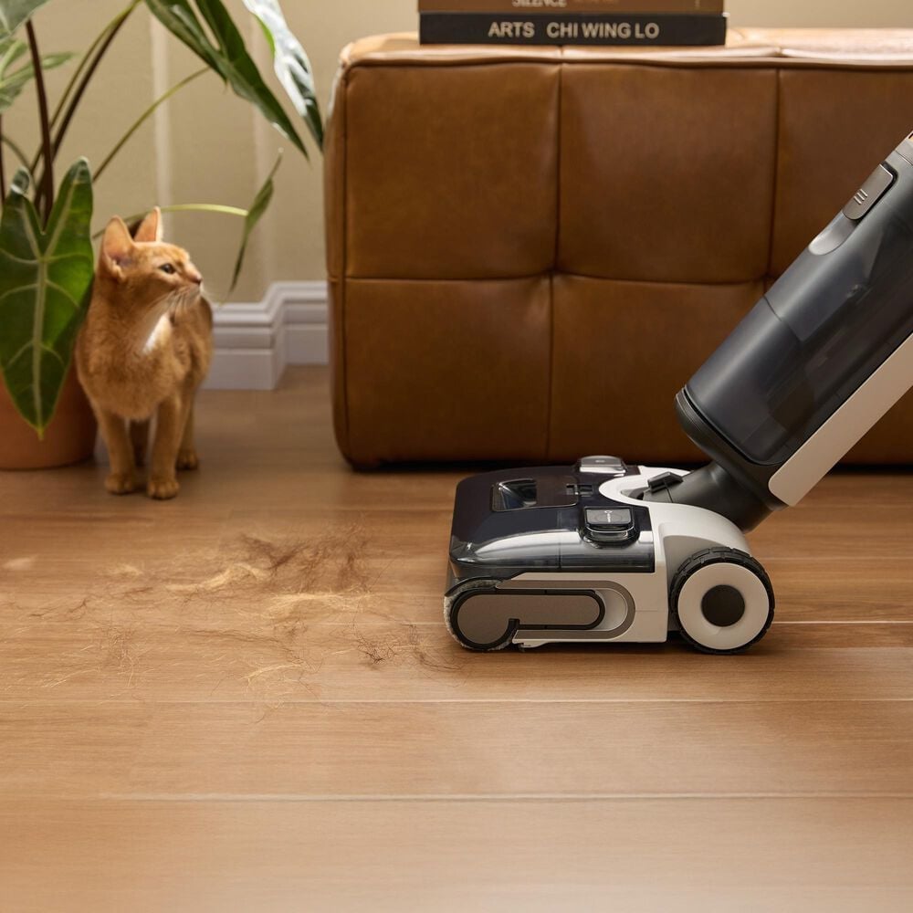 Roborock F25 Ace Wet and Dry Vacuum Cleaner in Black, , large