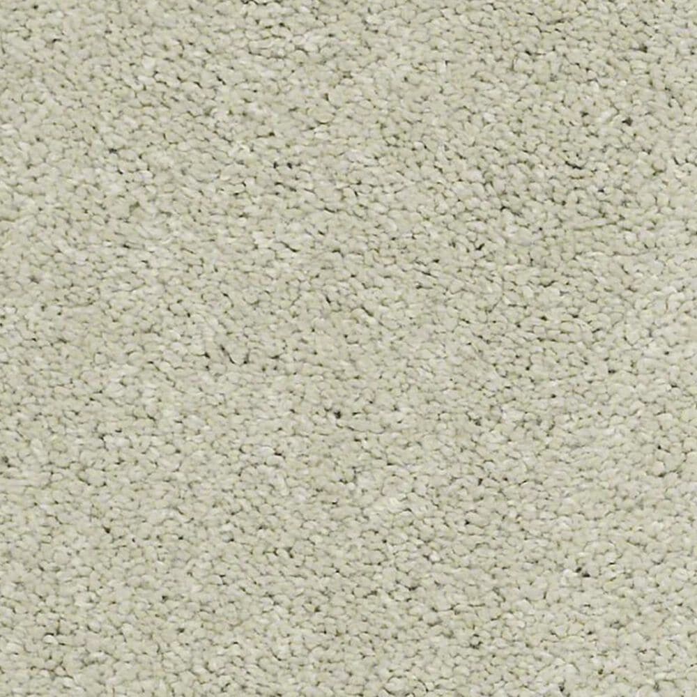Anderson Tuftex Barracan Classic IV Carpet in Celadon, , large