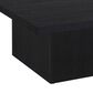 Pacific Landing Devar Square Coffee Table in Black, , large