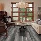 Shaw Vinyl Tile Adventure HD Plus Accent Shadow 7" x 48" Vinyl Plank, , large