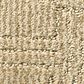 Anderson Tuftex Loredo Carpet in Antique, , large