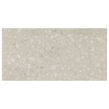 Dal-Tile Outlander Echo 12" x 24" Medio Porcelain Tile, , large