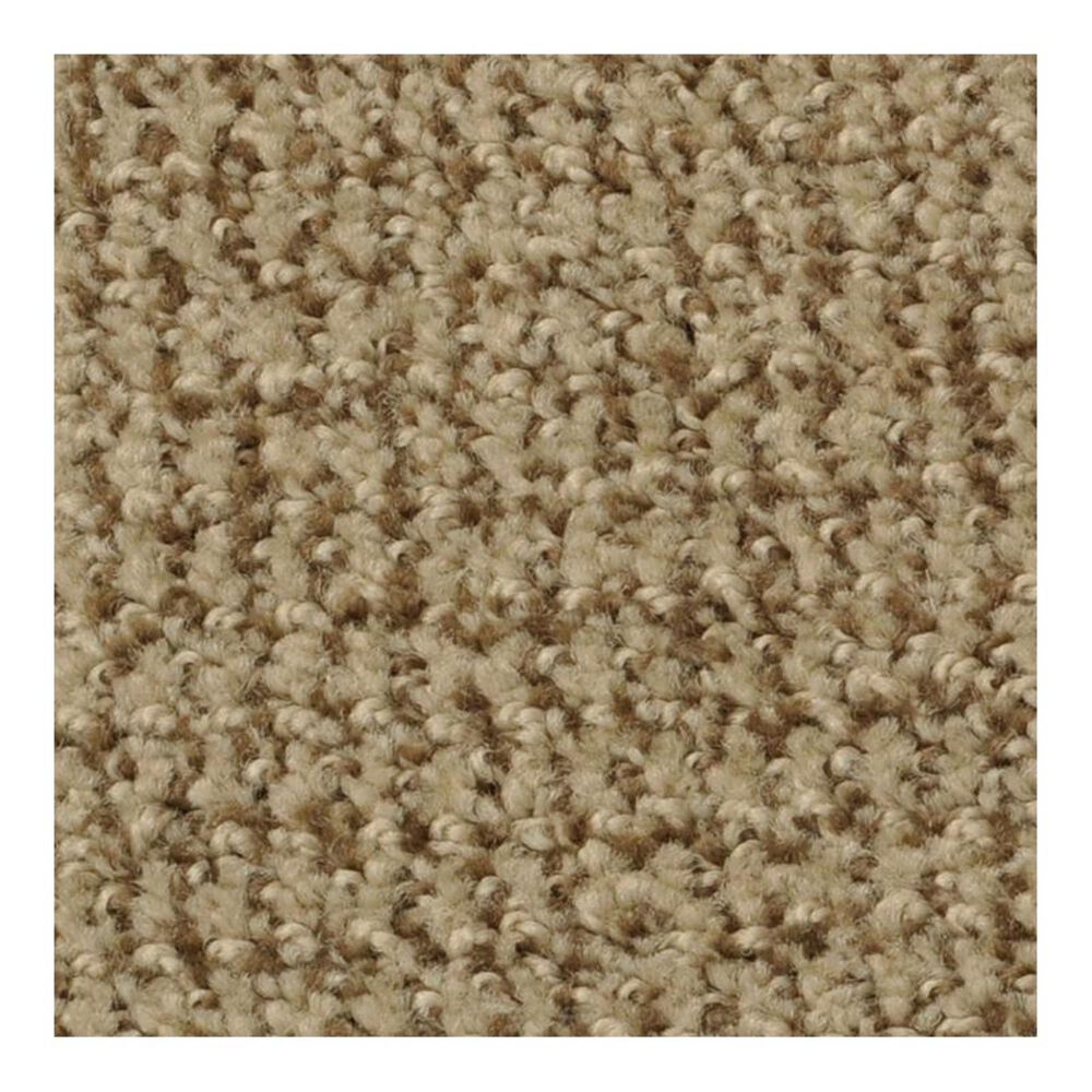 Dixie Home Confident Choice Carpet in Pepper Spice, , large