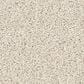 Philadelphia Champagne Taste II Carpet in Natural, , large
