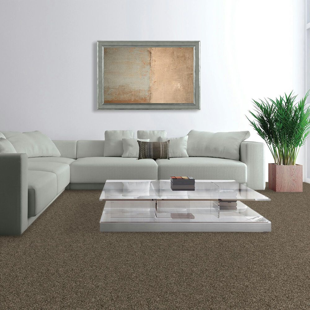 Mohawk Purrsonality III Carpet in Matte, , large