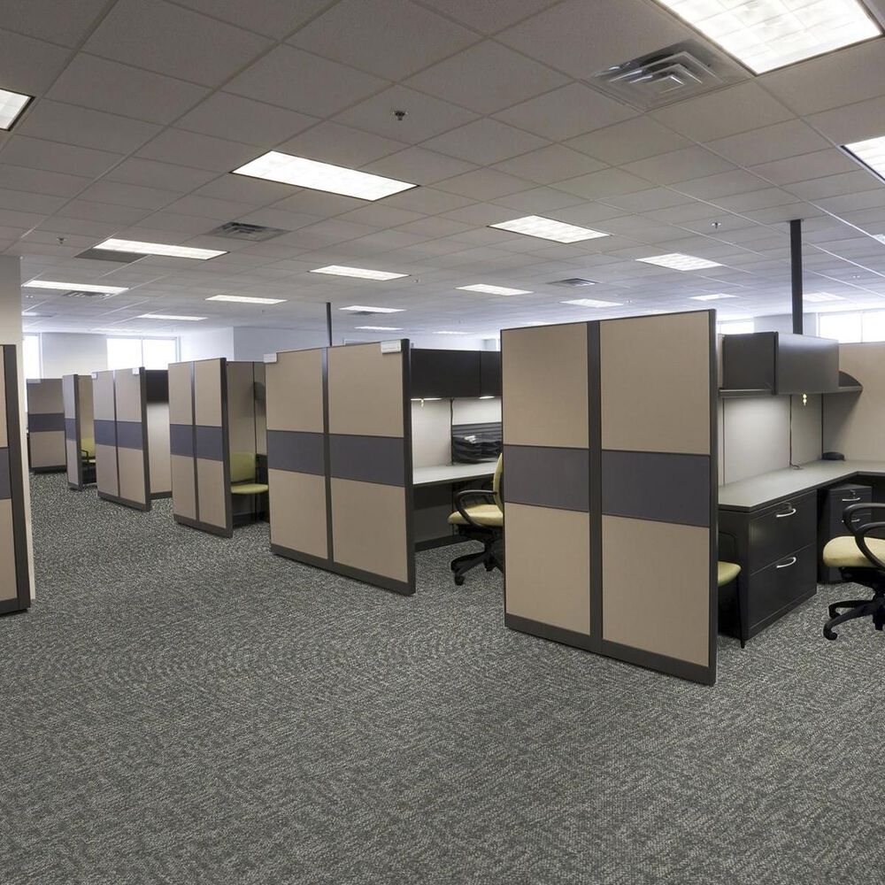 Shaw Crazy Smart 18&quot; x 36&quot; Carpet Tile in Daring, , large