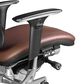 Regency Global Sourcing Omega Ergonomic Executive Office Chair in Chocolate, , large