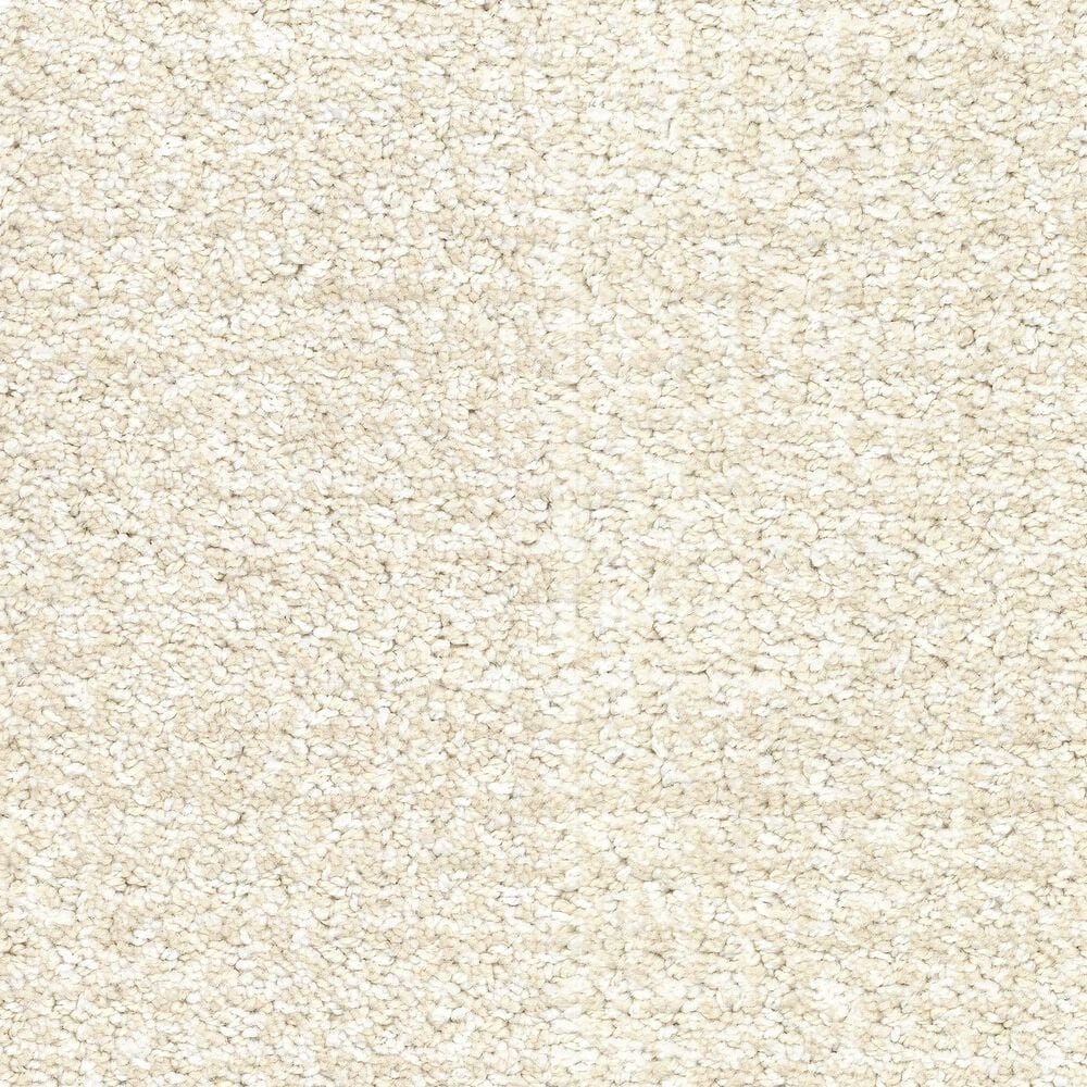 Masland Offspring Carpet in Dog-Gone It, , large