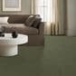 Anderson Tuftex Vignette Carpet in Fern, , large