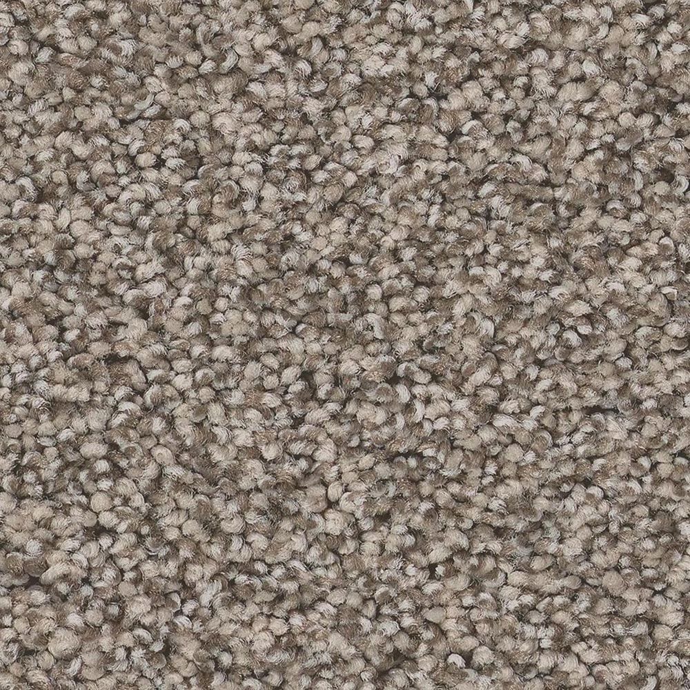 Anderson Tuftex Fabulous Carpet in Pashmina, , large