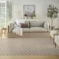 Nourison Twist Reversible 6" x 9" Grey Indoor/Outdoor Area Rug, , large