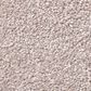 Shaw Find Your Comfort NS II Carpet in Evening in Paris, , large