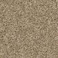 Shaw Las Cruces Carpet in Hickory, , large