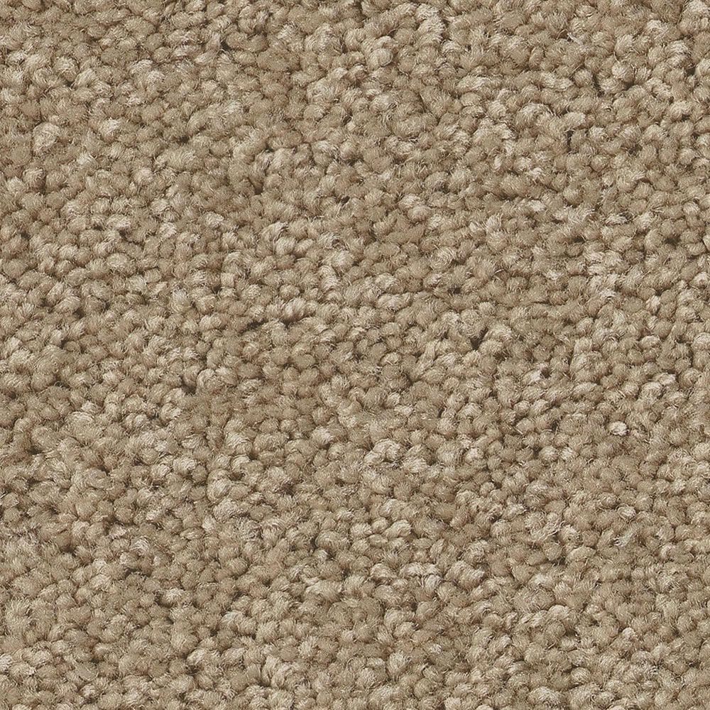 Shaw Las Cruces Carpet in Hickory, , large