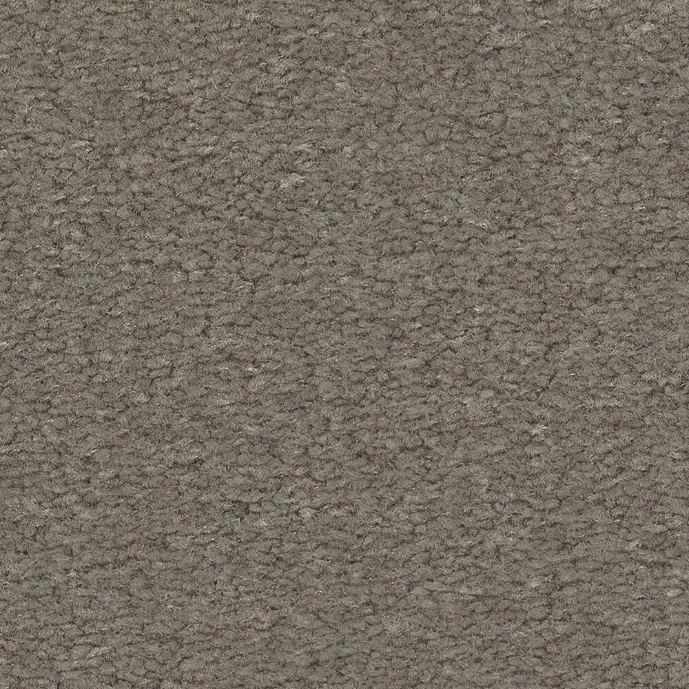 Anderson Tuftex Finery Carpet in Tortoise, , large