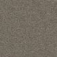 Anderson Tuftex Finery Carpet in Tortoise, , large