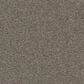 Anderson Tuftex Finery Carpet in Tortoise, , large