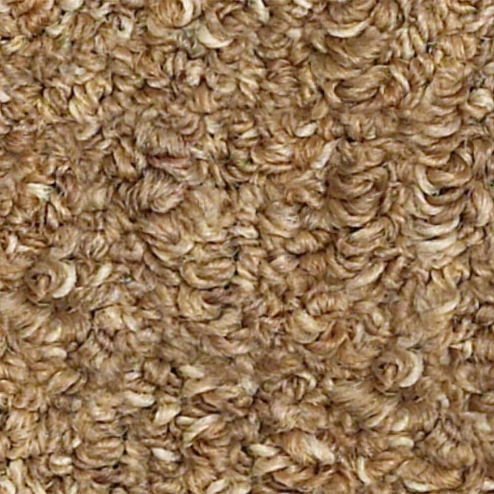 Shaw Natural Balance Carpet in Birch NFM