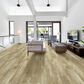 Shaw Tenacious HD Plus Accent Olive Branch 7" x 48" Luxury Vinyl Plank, , large