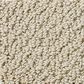 Shaw Detailed Statement Loop Carpet in Beach Walk, , large