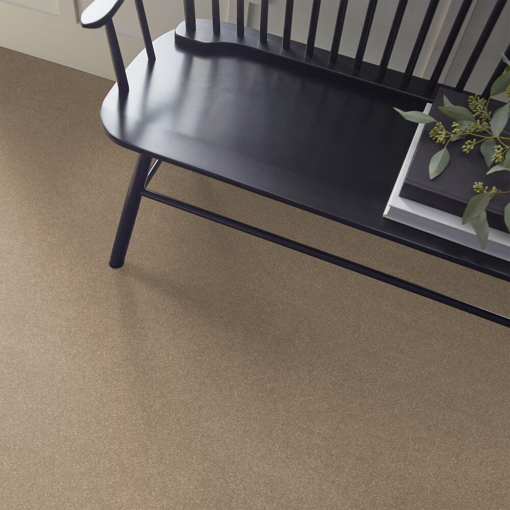 Shaw Hard At Play Iii Carpet in Worn Path, , large