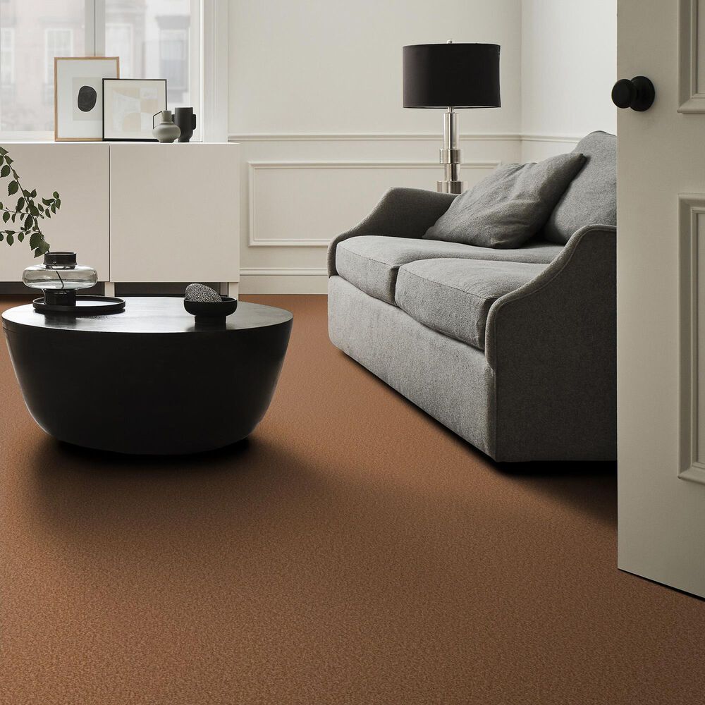 Shaw Tonal Comfort Ii Carpet in Sunrise, , large