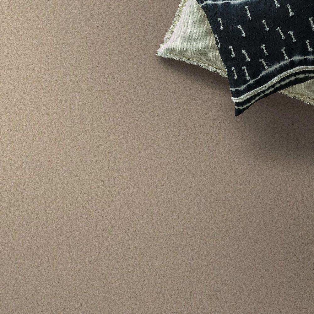 Anderson Tuftex Fabulous Carpet in Down Home, , large