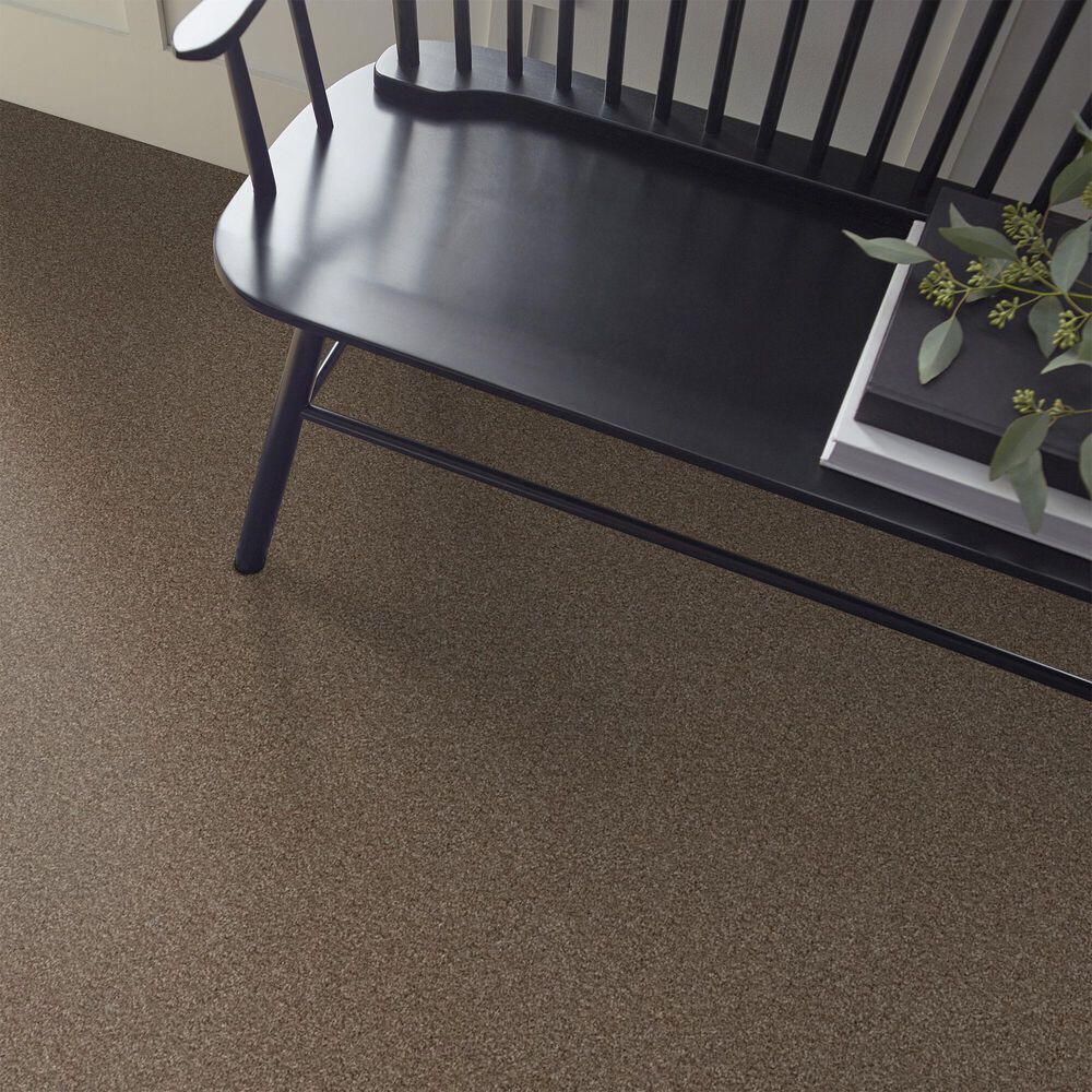 Shaw Yes You Can II Carpet in Worn Path, , large