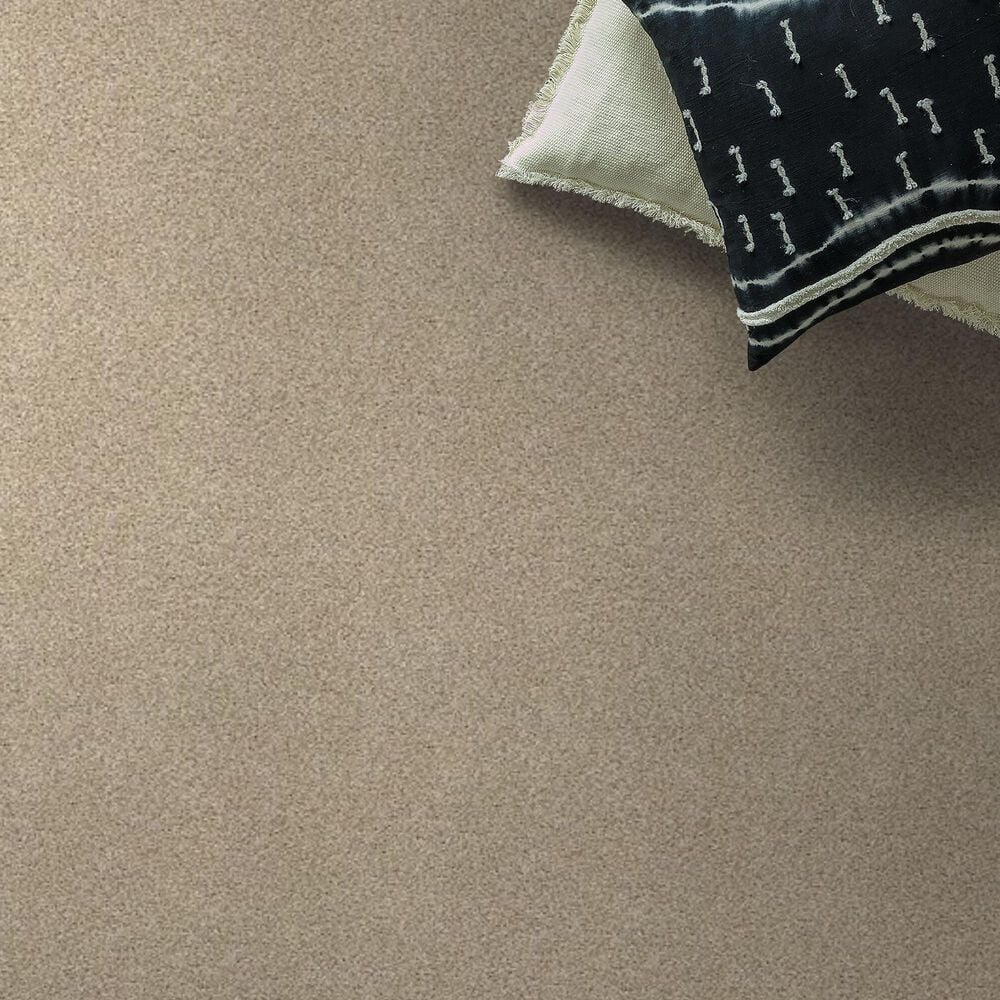 Shaw Tonal Comfort Ii Carpet in Walk On The Beach, , large