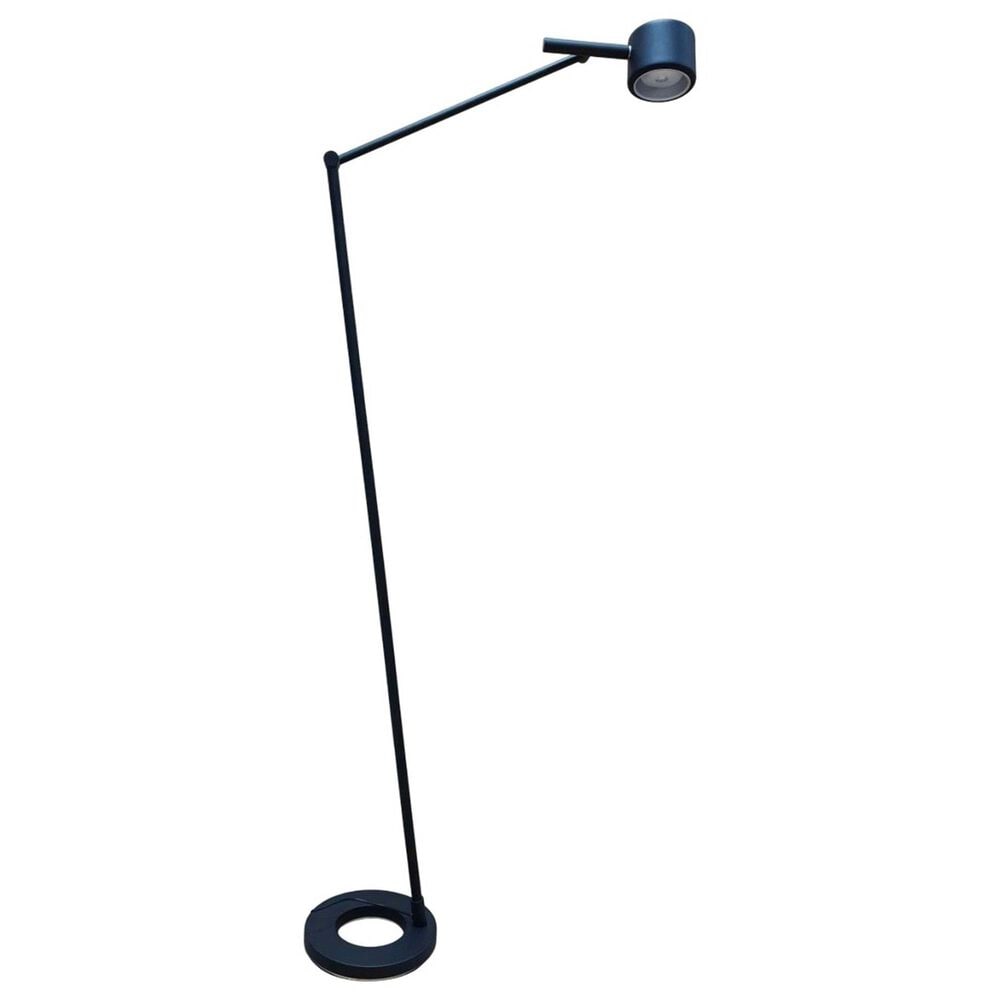 Lite Source Toki Floor Lamp in Black, , large