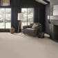 Anderson Tuftex Finery Carpet in Ice Formations, , large