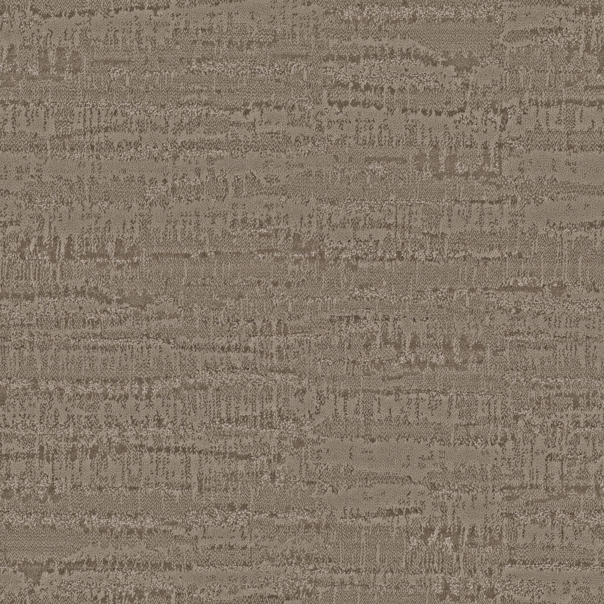 Anderson Tuftex Arbor Carpet in Driftwood