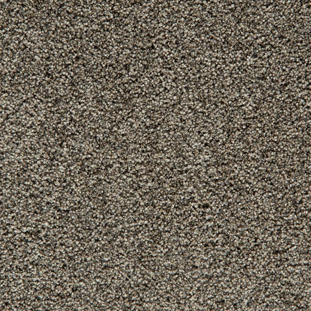 Mohawk Cozy Companion I Carpet in Slate, , large