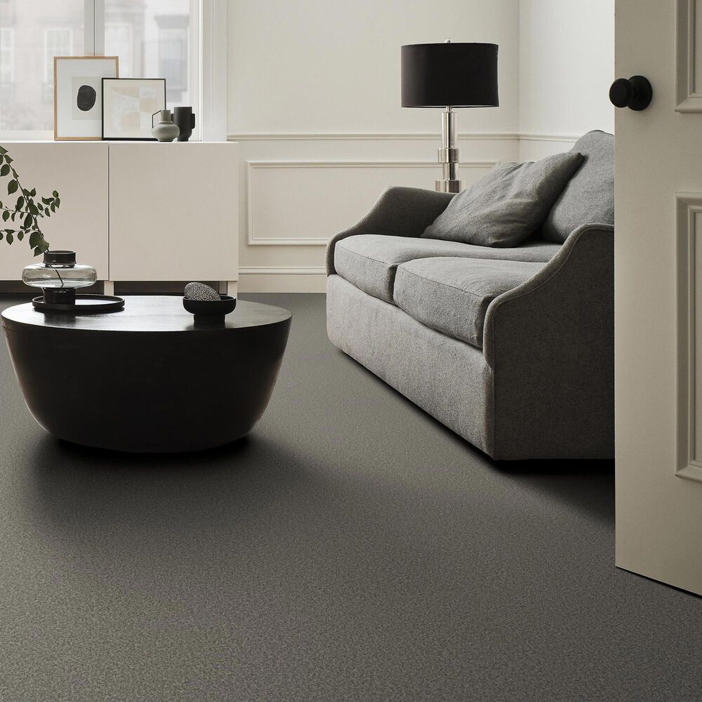 Anderson Tuftex Fabulous Carpet in Flannel Gray, , large