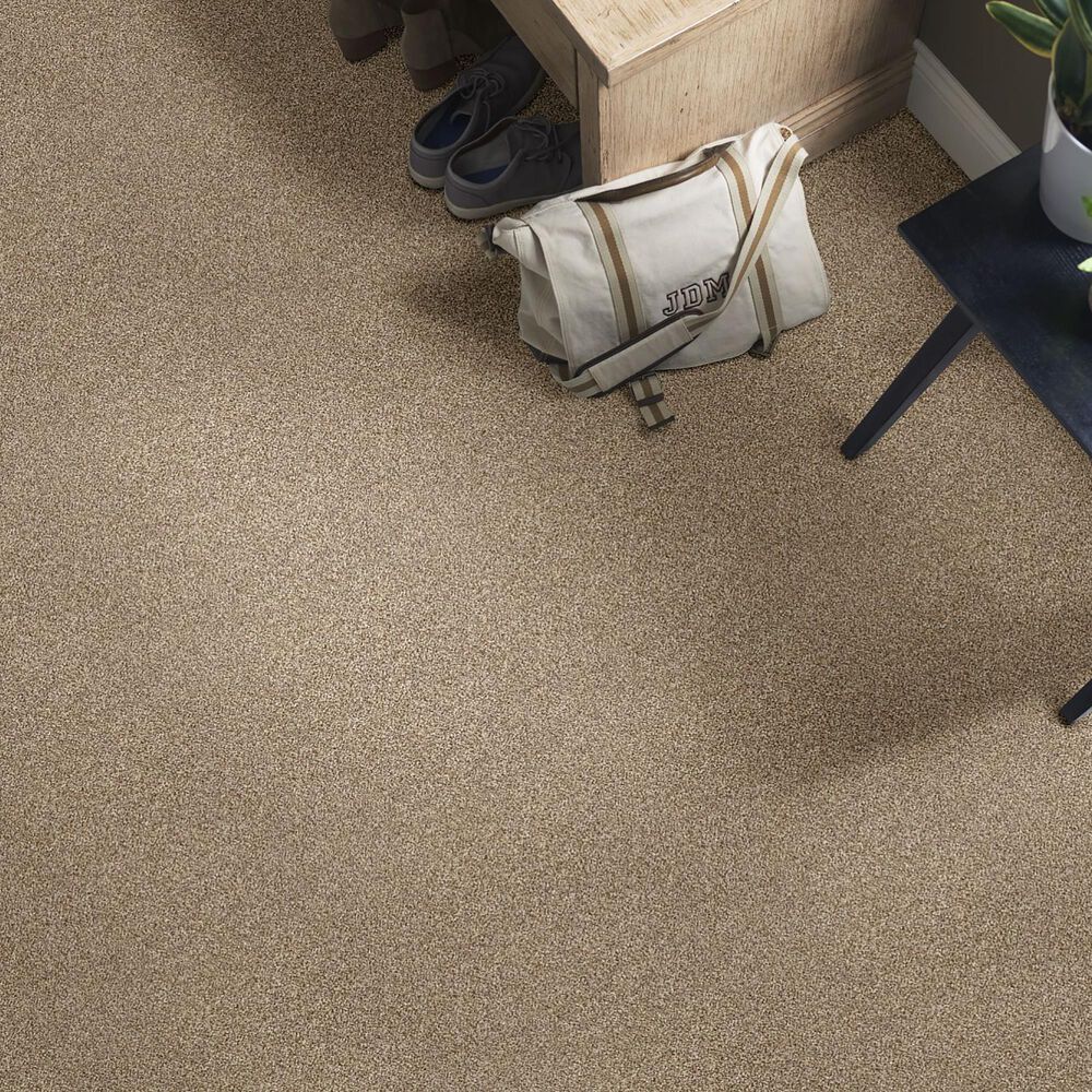 Shaw Find Your Comfort TT I Carpet in Camping Trip, , large