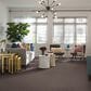 Shaw Foundations Take The Floor Accent I Carpet in Storm, , large