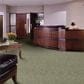 Shaw Franchise Carpet in Fernwood, , large