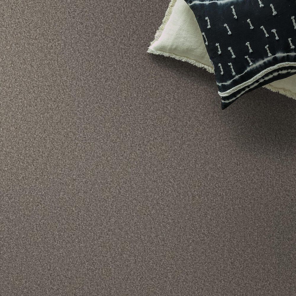 Shaw Tweed Comfort I Carpet in Marsh Grass, , large