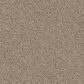 Dixie Home Trapper Carpet in Spaniel, , large