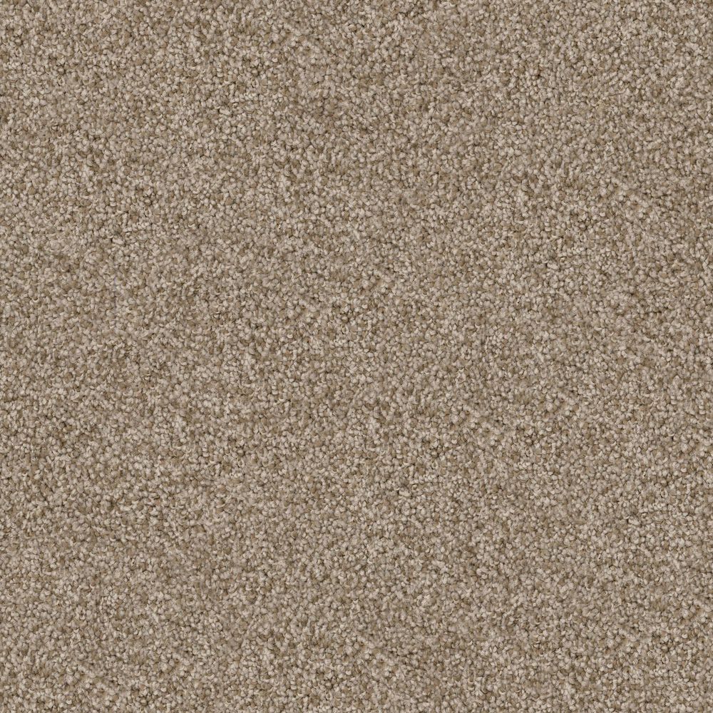 Dixie Home Trapper Carpet in Spaniel, , large