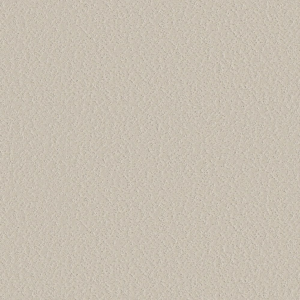 Shaw Clever Choice Carpet in Scotch Mist, , large