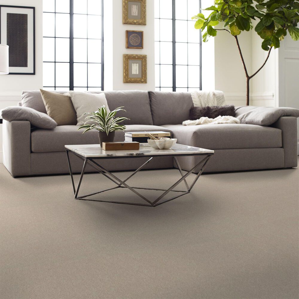 Shaw Hard At Play Iii Carpet in Warm Light, , large