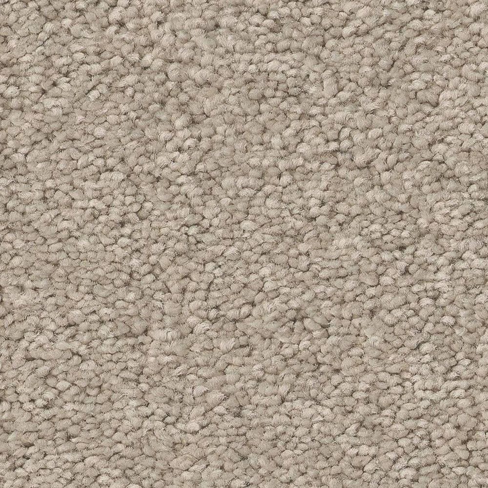 Anderson Tuftex Elegant Beauty Carpet in Sandshell, , large