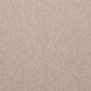 Masland Granique Carpet in Cambria, , large