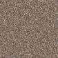 Shaw Imaginable II Carpet in Weathered, , large